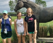 2017-RK3DE