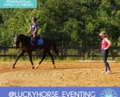Ava Vojnovic luckyhorse_eventing (1)