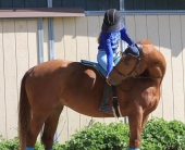 Erica-(eqscuzeme)