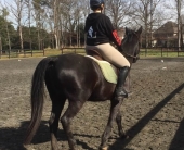 Meghan D. (GA) Have A Great Ride