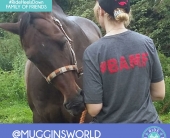 Sarah Hiscock mugginsworld