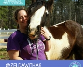 kelda
