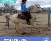 painting.paints