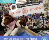 peachstone.eventing
