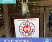 taleen-stall-banner