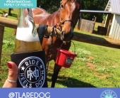 tlaredog