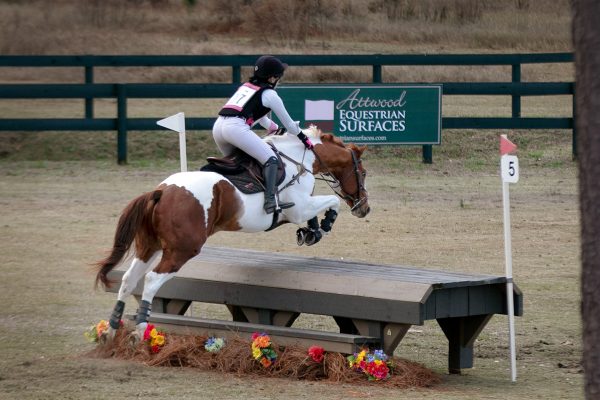 Novice eventing at Stable View in Aiken, SC