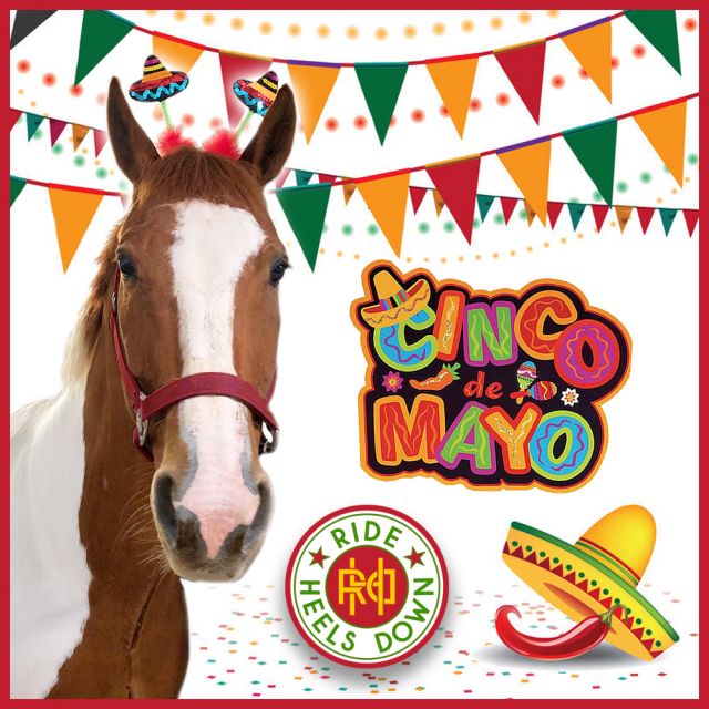 Happy Cinco de Mayo from JJ, my own little hot tamale! Time to head to the barn and see if he'll eat some tacos 🌮🌯😆
#RideHeelsDown #horsebackriding #horsesofinstagram #horses #horse #barnlife #riding #eventing #dressage #jumper #horseshow #heelsdown #equitation #xc #crosscountry #haveagreatride #eventer #usea #3phase #3ways3days #ushja #usdf #usef