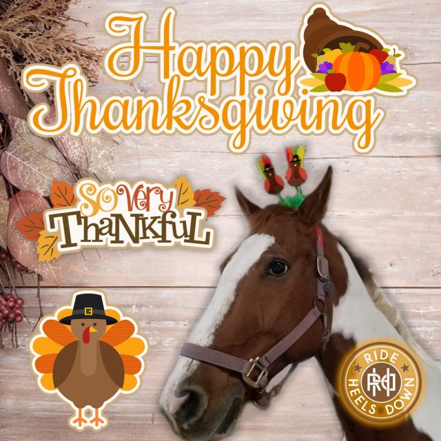 🍁🦃🍗🥧🍂 Happy Thanksgiving, fam! Every day, and especially today, I'm so grateful to have my heart horse, JJ. 🧡 What horse(s) are you grateful for?
#RideHeelsDown #horsebackriding #horsesofinstagram #horses #horse #barnlife #riding #eventing #dressage #jumper #horseshow #heelsdown #equitation #xc #crosscountry #haveagreatride #eventer #usea #3phase #3ways3days #ushja #usdf #usef