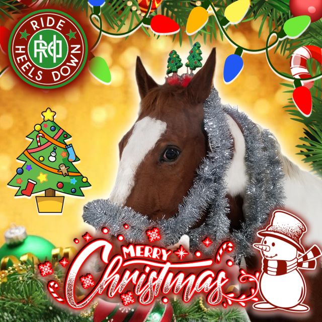 🎄🎅🎁 Merry Christmas, friends!! Here's hoping there's lots of great riding gifts (and lots of fun #RideHeelsDown goodies) under your tree!
#horsebackriding #horsesofinstagram #horses #horse #barnlife #riding #eventing #dressage #jumper #horseshow #heelsdown #equitation #xc #crosscountry #haveagreatride #eventer #usea #3phase #3ways3days #ushja #usdf #usef