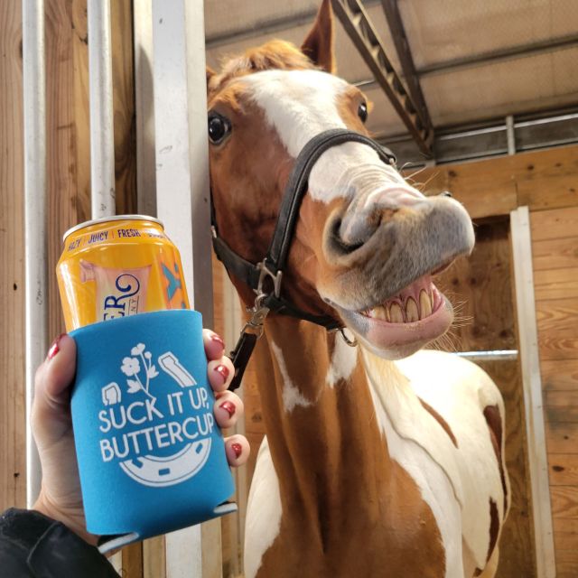 🍻🎄🎅 Happy FRIDAY, friends! JJ says cheers to the long holiday weekend! (and to our fun new coozies 😉)
#RideHeelsDown #horsebackriding #horsesofinstagram #horses #horse #barnlife #riding #eventing #dressage #jumper #horseshow #heelsdown #equitation #xc #crosscountry #haveagreatride #eventer #usea #3phase #3ways3days #ushja #usdf #usef