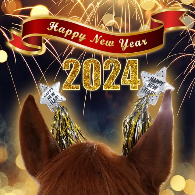🥂🍾 Here's to a better, brighter, badassier 2024 with lots of blue ribbons! From me and JJ to you and your barn family, Happy New Year!
#RideHeelsDown #horsebackriding #horsesofinstagram #horses #horse #barnlife #riding #eventing #dressage #jumper #horseshow #heelsdown #equitation #xc #crosscountry #haveagreatride #eventer #usea #3phase #3ways3days #ushja #usdf #usef