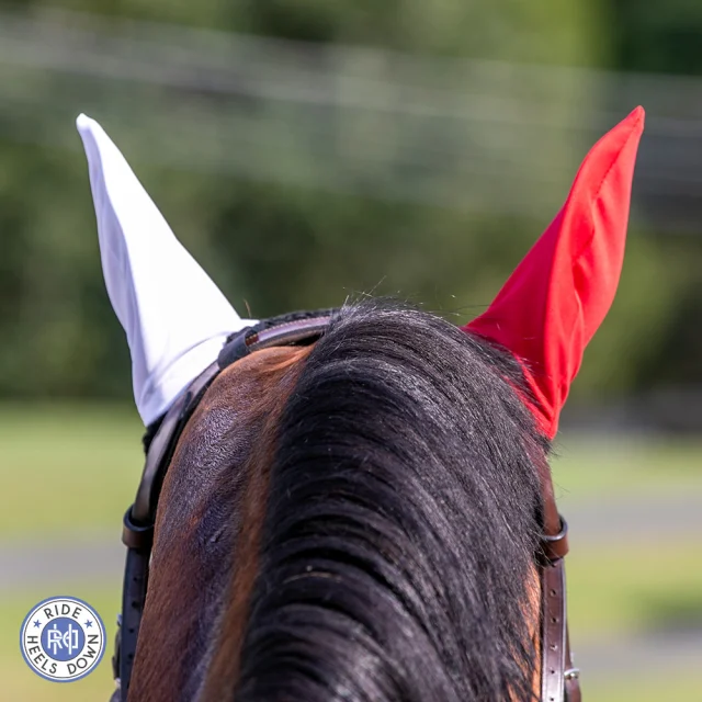 Never lose your way on course again with our EXCLUSIVE XC ear bonnets! 🤍❤️ Use coupon code RHDHH24 to SAVE!
#RideHeelsDown #horsebackriding #horsesofinstagram #horses #horse #barnlife #riding #eventing #dressage #jumper #horseshow #heelsdown #equitation #xc #crosscountry #haveagreatride #eventer #usea #3phase #3ways3days #ushja #usdf #usef