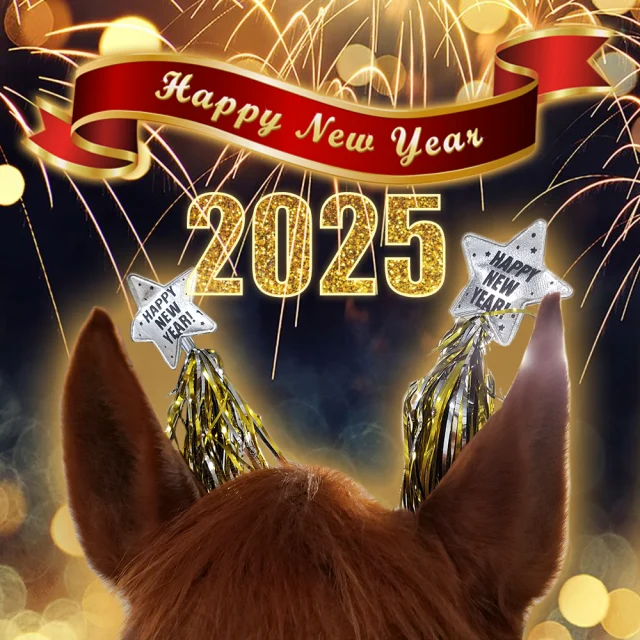 🎆🥂 Whatever your goals for 2025 may be, JJ and I wish you a very happy new year!
#RideHeelsDown #horsebackriding #horsesofinstagram #horses #horse #barnlife #riding #eventing #dressage #jumper #horseshow #heelsdown #equitation #xc #crosscountry #haveagreatride #eventer #usea #3phase #3ways3days #ushja #usdf #usef