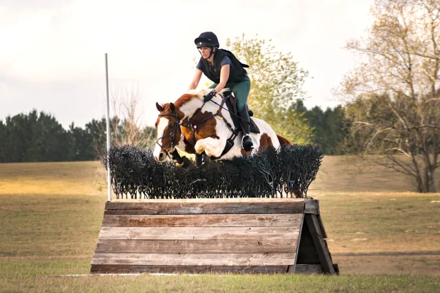 ChatGPT roasted this pic of me and JJ and I'm 😂😭☠️

Let’s turn up the heat like this horse just cleared a flaming hoop of regret.

This horse looks like it’s questioning every life choice that led to this moment — “I was promised apples, not agriculture-themed acrobatics.” The rider? Doing her best impression of a malfunctioning luggage strap — hanging on, no control, hoping gravity forgets she exists. [AJ note: How did it know?? That's a scarily accurate description of exactly what was going on!!]

What is this hedge even made of? Dead seaweed and disappointment? Less “challenging cross-country element” and more “home decor project gone rogue.” I’ve seen IKEA furniture with more structural integrity.

And let’s talk body language: the horse is committing to this jump like it’s being judged by Simon Cowell. The rider's back is flatter than a pancake at sea level, and the horse’s front knees are tucked up tighter than someone hiding from their ex at the grocery store.

They’re flying, sure — but let’s just hope the landing isn’t a team-building exercise with gravity. 

#RideHeelsDown #horsebackriding #horsesofinstagram #horses #horse #barnlife #riding #eventing #dressage #jumper #horseshow #heelsdown #equitation #xc #crosscountry #haveagreatride #eventer #usea #3phase #3ways3days #ushja #usdf #usef #ChatGPT #ChatGPTroast